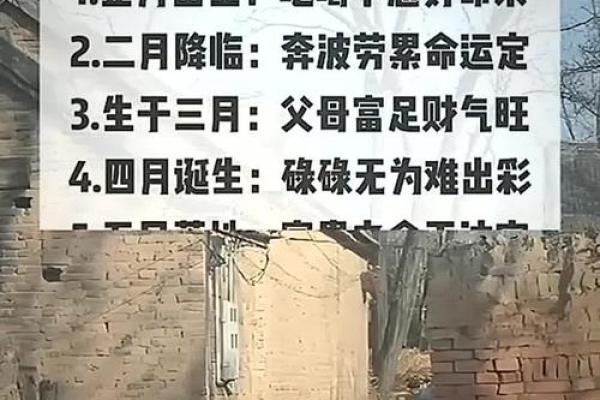 孩子下午出生,命运如何解读?浅谈五行与生肖的影响 孩子下午出生,命运如何解读?浅谈五行与生肖的影响