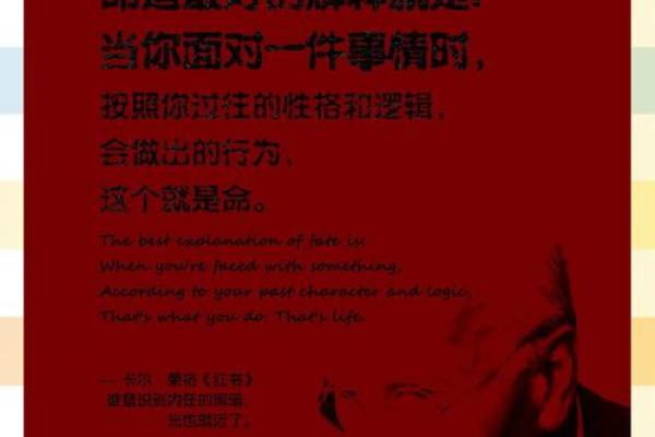 解读雷军的命运之道:一命与二命的深刻区别与影响 解读雷军的命运之道:一命与二命的深刻区别与影响