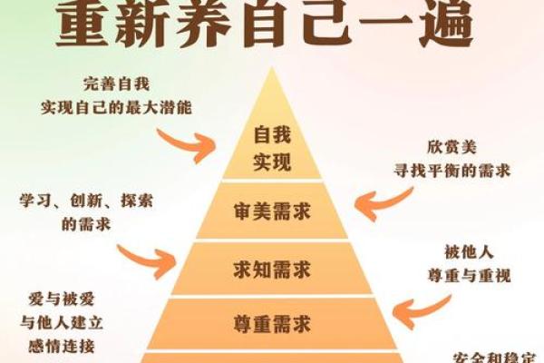 命理学学习的正确顺序:从基础到精髓,开启自我探索之旅 命理学学习的正确顺序:从基础到精髓,开启自我探索之旅