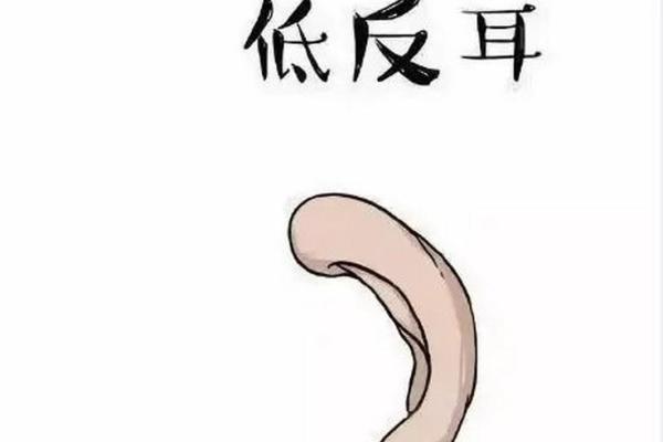 耳朵与命运的秘密:没有耳朵背后隐藏的深刻含义 耳朵与命运的秘密:没有耳朵背后隐藏的深刻含义