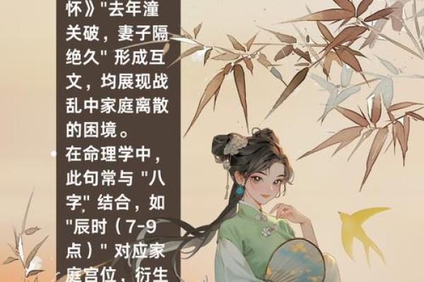 丫鬟的命运：从掌中宝到身不由己的悲歌