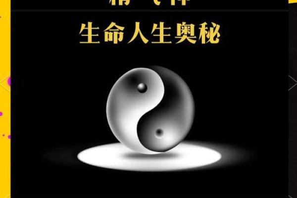 1997年出生的你,命运如何?解读生命的奥秘与潜力 1997年出生的你,命运如何?解读生命的奥秘与潜力
