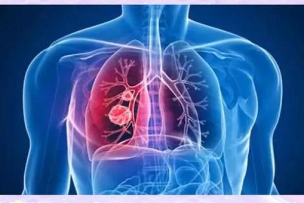 1997年出生的你,命运如何?解读生命的奥秘与潜力 1997年出生的你,命运如何?解读生命的奥秘与潜力