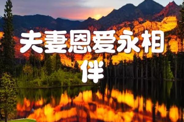 相依为命:心灵的伴侣与生命的力量 相依为命:心灵的伴侣与生命的力量