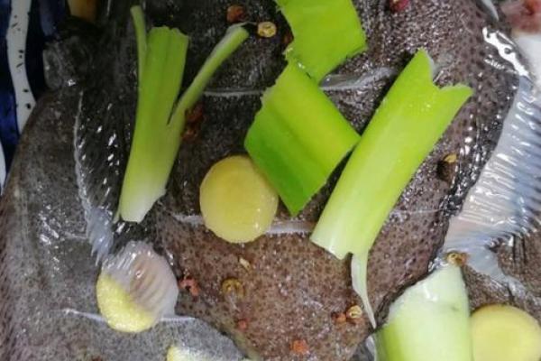 命之母的奇特餐桌：一场关于恶心与美味的探险