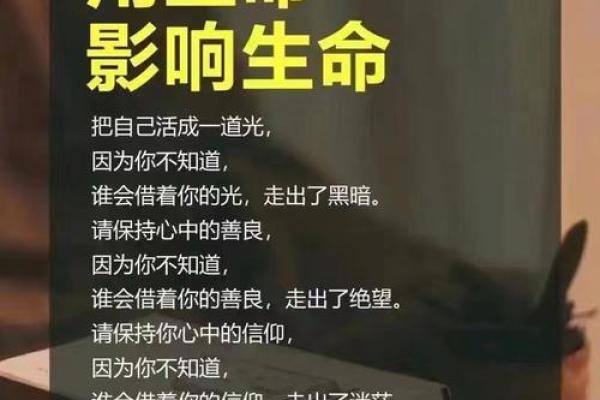 三尺微命:在平凡中寻找生命的意义与价值 三尺微命:在平凡中寻找生命的意义与价值