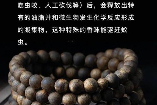 木命人的最佳佩戴选择:提升运势与气场的神秘之道 木命人的最佳佩戴选择:提升运势与气场的神秘之道