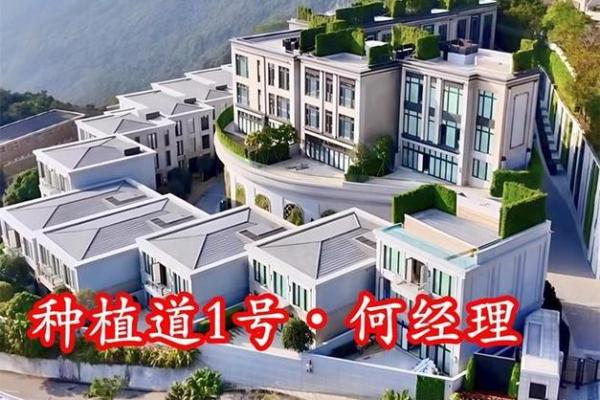 大林木命购房指南：选择理想家园的注意事项与技巧