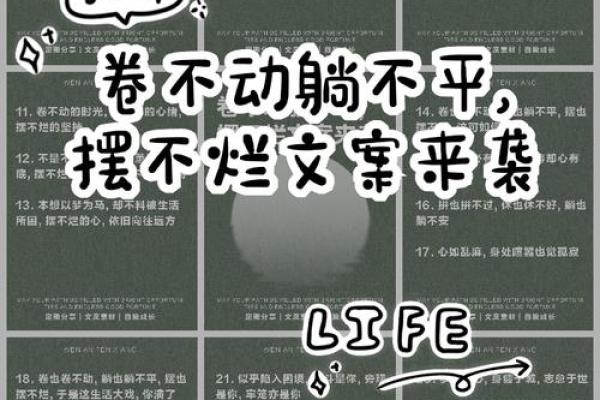 人平命不平：命运与努力的辩证关系探讨