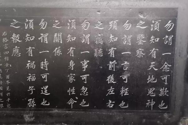 栓马桩的孩子：在命运与自由之间的思考