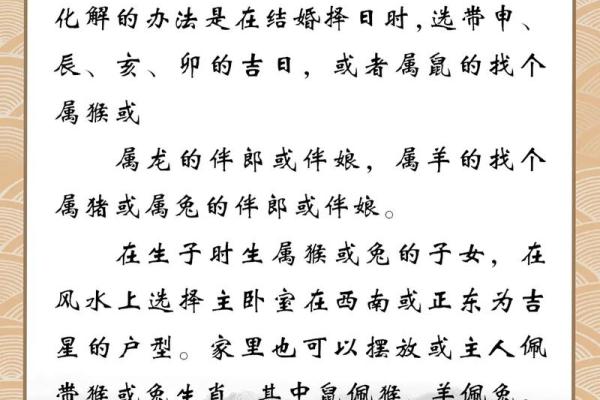 属鼠的性格特征与命运解析：聪明机智的生活哲学