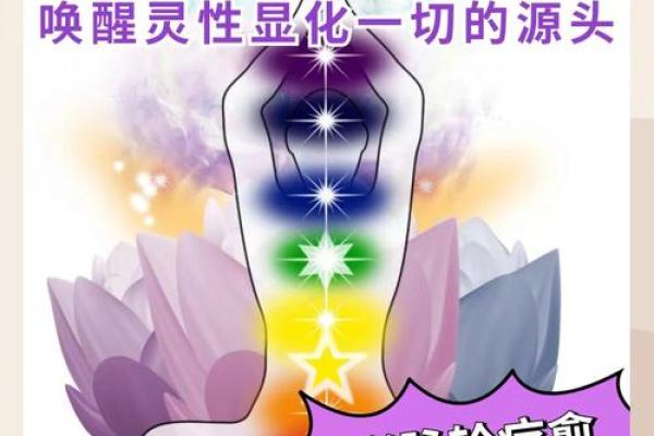 狐狸命的魅力:探索生命的智慧与灵性之旅 狐狸命的魅力:探索生命的智慧与灵性之旅