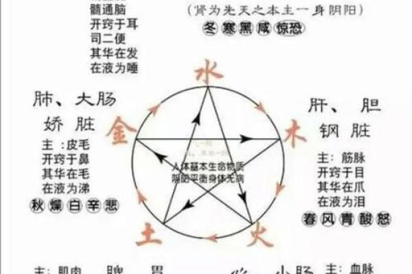 火命与水命：相生相克的爱情关系探讨