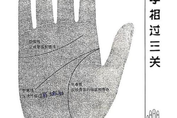 探索你手相中的命运密码，揭示生活中的无限可能性