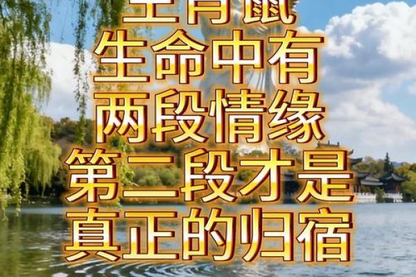 属鼠出生童子命：探索命理与人生的奥秘