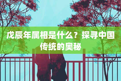 戊辰年属相是什么?探寻中国传统的奥秘