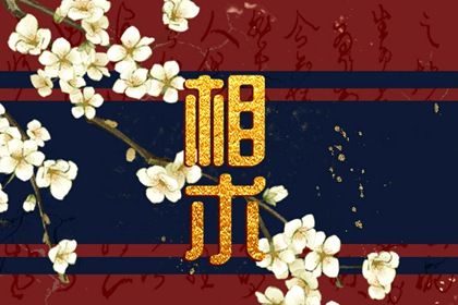 千亿巨富痣 下巴有痣则财运富裕 千亿巨富痣 下巴有痣则财运富裕