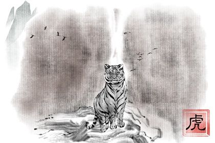 父母属兔生虎宝宝好吗 兔生虎的运势如何解析 父母属兔生虎宝宝好吗 兔生虎的运势如何解析