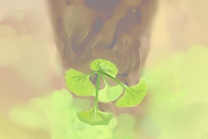 如何看八字命盘 方法有哪些 如何看八字命盘 方法有哪些