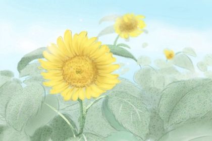 如何看八字命盘 方法有哪些 如何看八字命盘 方法有哪些