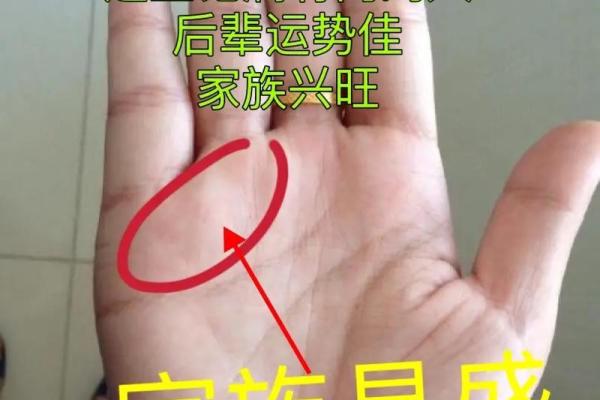 女人用左手的命运探寻：从手相看人生的秘密