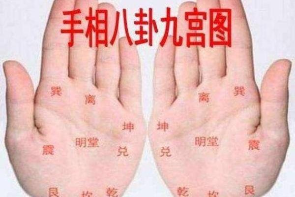女人用左手的命运探寻：从手相看人生的秘密