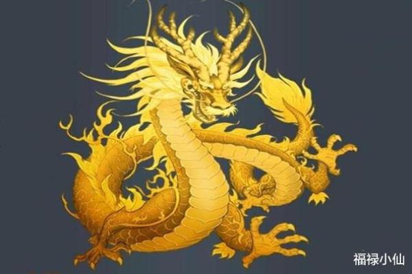 2024年龙宝宝命运解析：揭示属龙新生儿的未来与运势