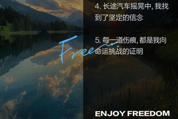 刀疤脸的命运：背后的故事与人生启示