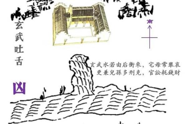 金命店铺布局与风水配置的完美指南