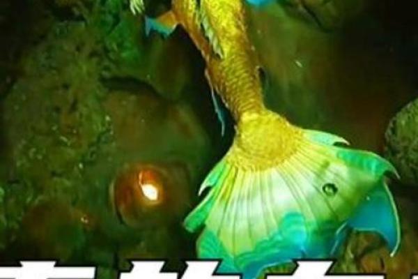什么动物有二百条命？揭秘神秘的海洋生物！