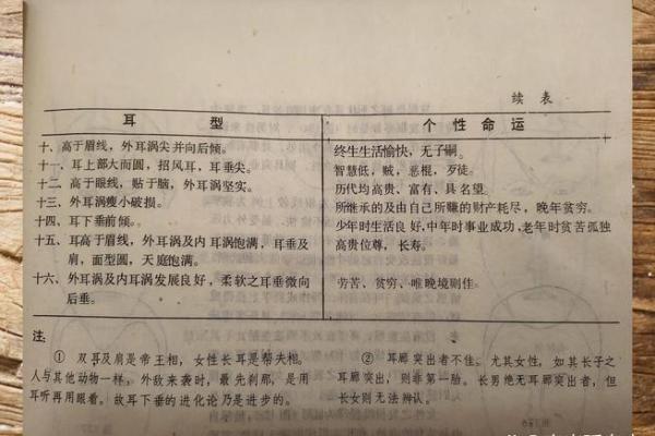 眉毛高的人命格解析：背后的深意与人生运势