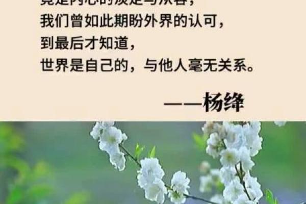 中年妇女的命运解析：如何拥抱人生的转折与新生