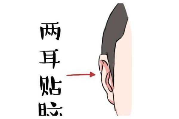 耳朵小的人是什么命？探秘小耳朵背后的命理之道！