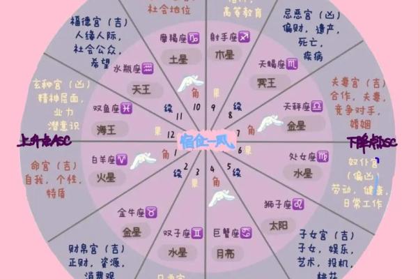 揭开命理之谜：哪些命格更适合耀眼的明星生活？