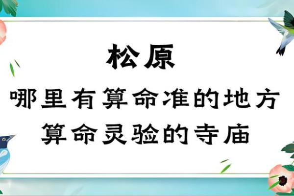 命理学探索：揭开人生秘密的有趣之旅