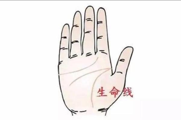 手相秘籍：这些纹路暗示你命运的辉煌与否！