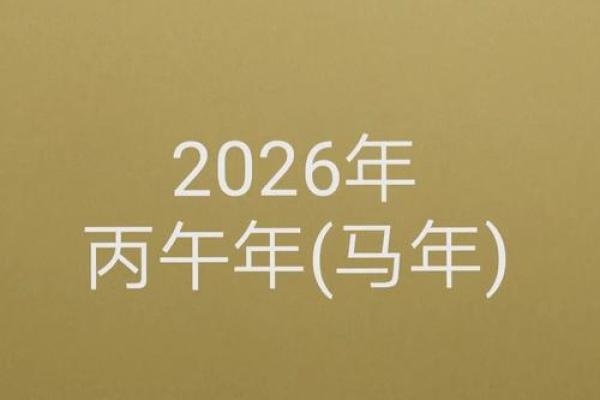 解读辛亥丙午己丑：命理中的五行与人生旅途
