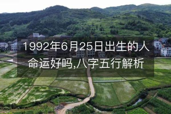 解读辛亥丙午己丑：命理中的五行与人生旅途