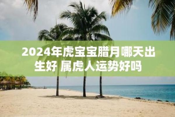 1986年出生的虎年人：命运与性格解析