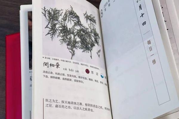 揭秘日历上解命的深刻含义，探索生活中的智慧与哲理！