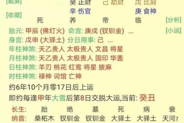 1970年属狗女的命理解析与生活智慧