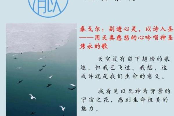 探索定命书法的魅力与奥秘：书写心灵的艺术