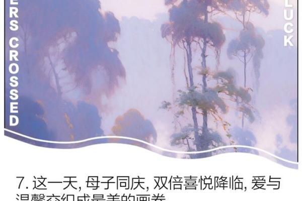 命上有绳子，缘分与选择的独特交织