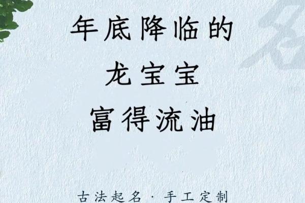 2024年兔宝宝命运分析：五行属性与未来发展之路