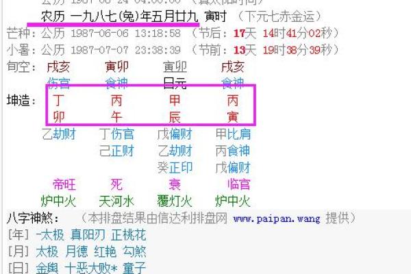 1980年女猴的命运与人生解析：智慧与机遇并存的旅程