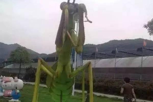 鳏夫命理特征解析：探索孤独与智慧的交汇点