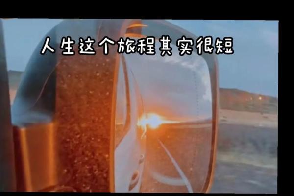 探寻1992年农历12月出生者的命理奥秘与人生旅程