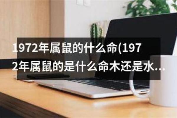 木命缺水者的生意选择与成功之路