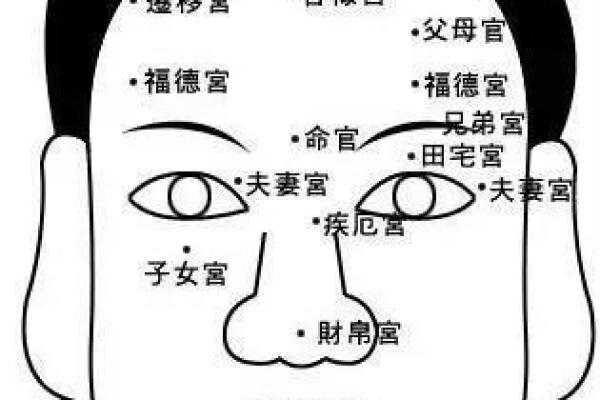 探寻富贵娘娘命的面相特征，让你走上人生巅峰！