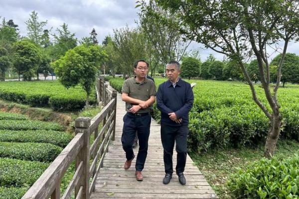 如何选择招牌颜色，助力木命事业腾飞